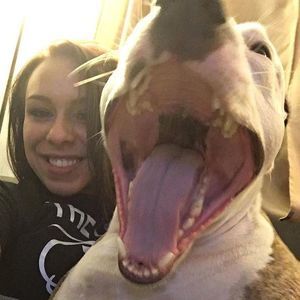 Meet your Posher, Vãlërîë